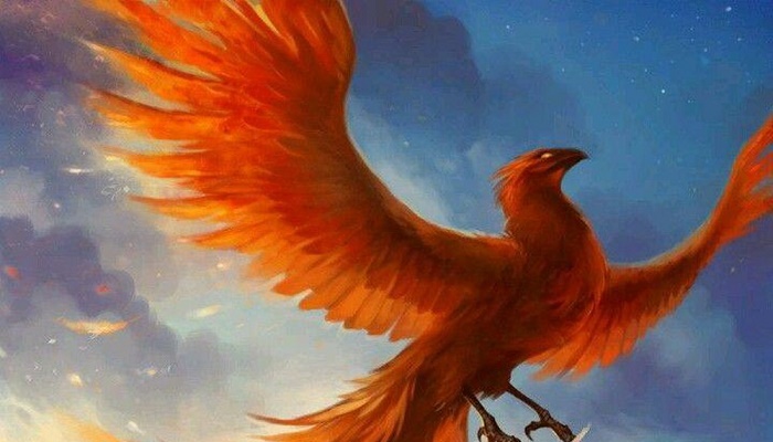  Mơ thấy phượng hoàng cũng có thể là điềm báo dữ