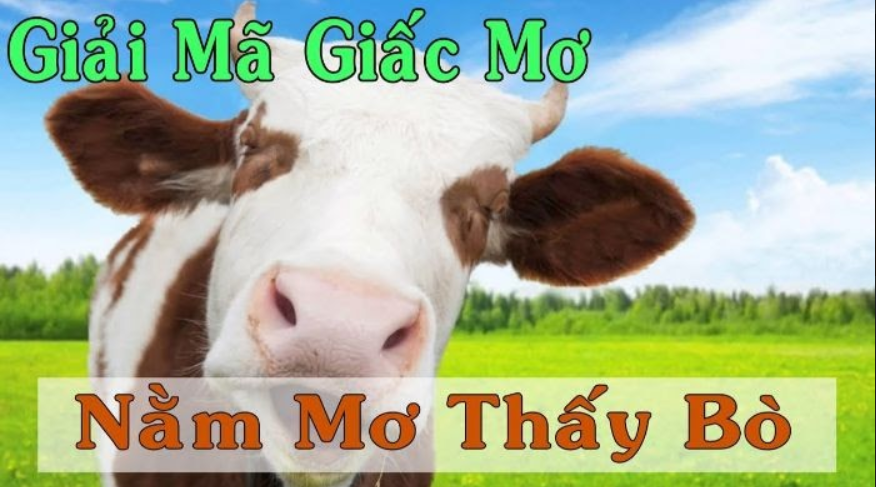 Mơ thấy con bò có thể là do xuất phát từ nỗi nhớ quê hương